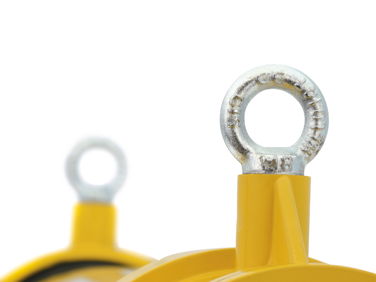 Imagen de referencia