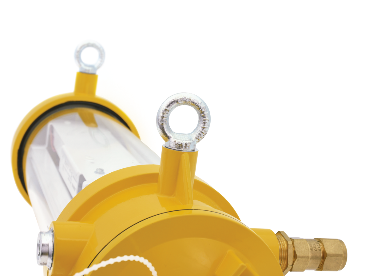 Imagen de referencia