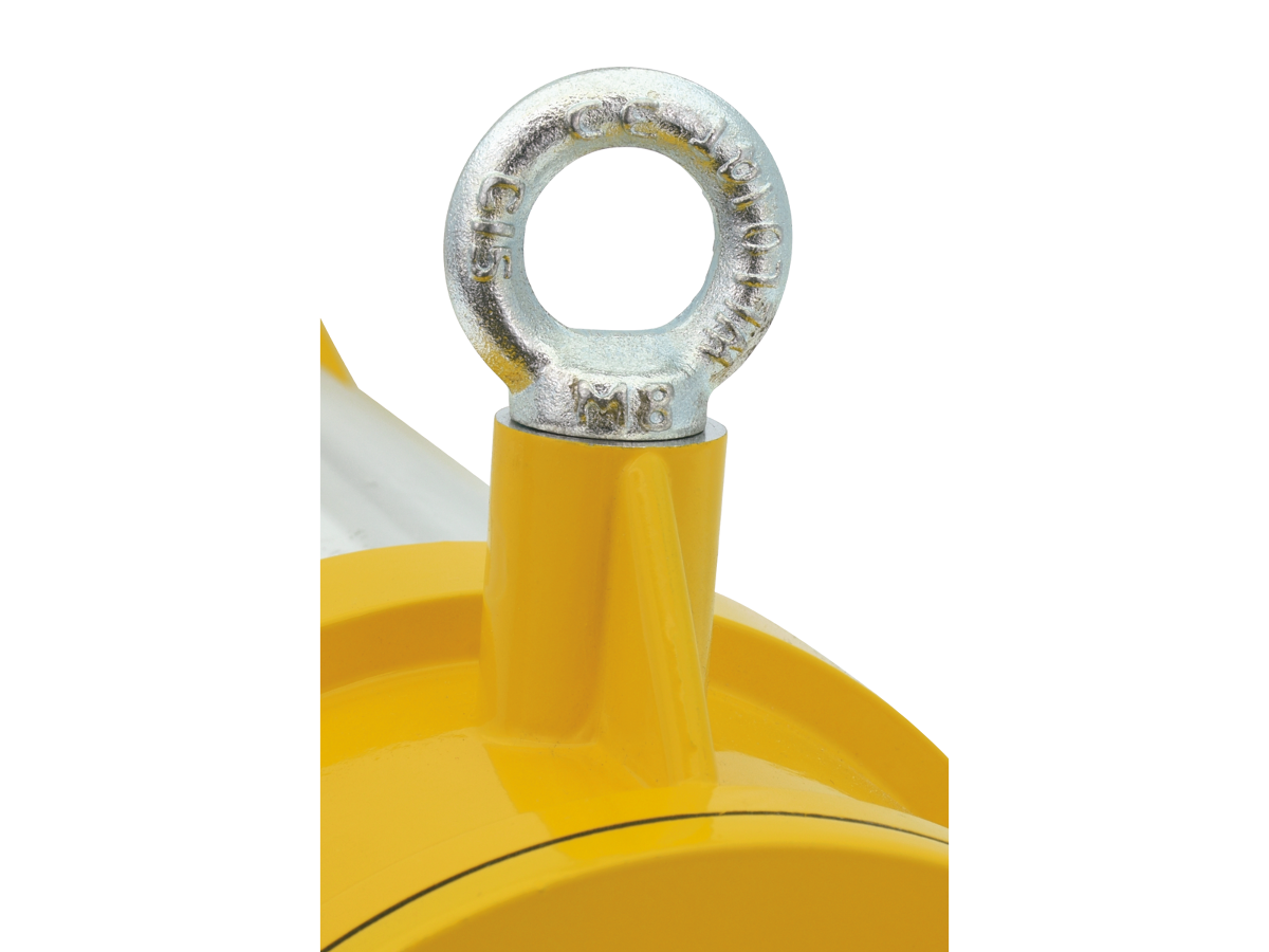 Imagen de referencia